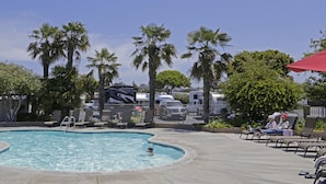 Una piscina con sillas de descanso y palmeras.