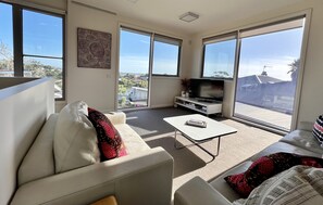 TV, video games, books, computer monitors