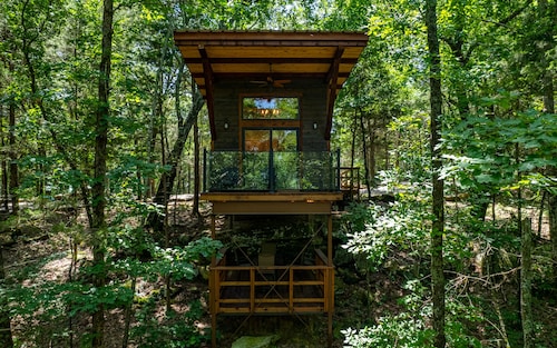 Modern High End Cabin #1 on Horsehead Lake