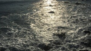 Een strand met zonlicht dat op het water weerkaatst.