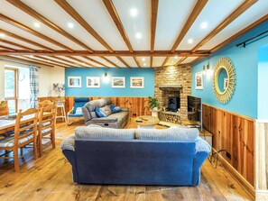 TV - Seaton Cottage - UK31990 (Staithes)
