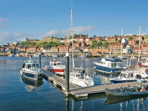 Marina - Seaton Cottage - UK31990 (Staithes)