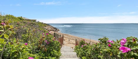 Sur la plage, chaise longue, serviettes de plage