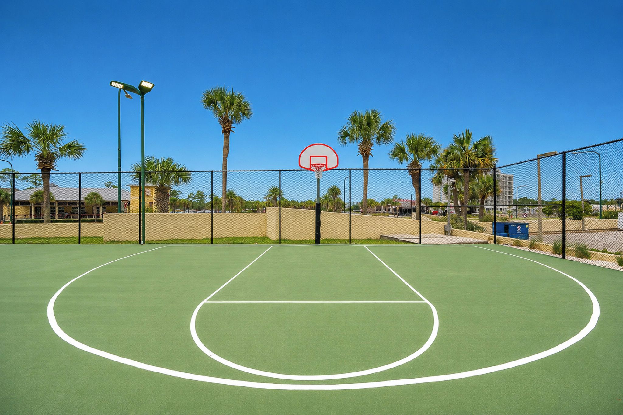 An outdoor basketball court with a clear sky, palm trees, and a chain-link fence.