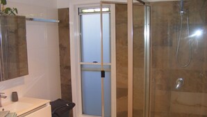 A bathroom with a shower, a sink, and a mirror.