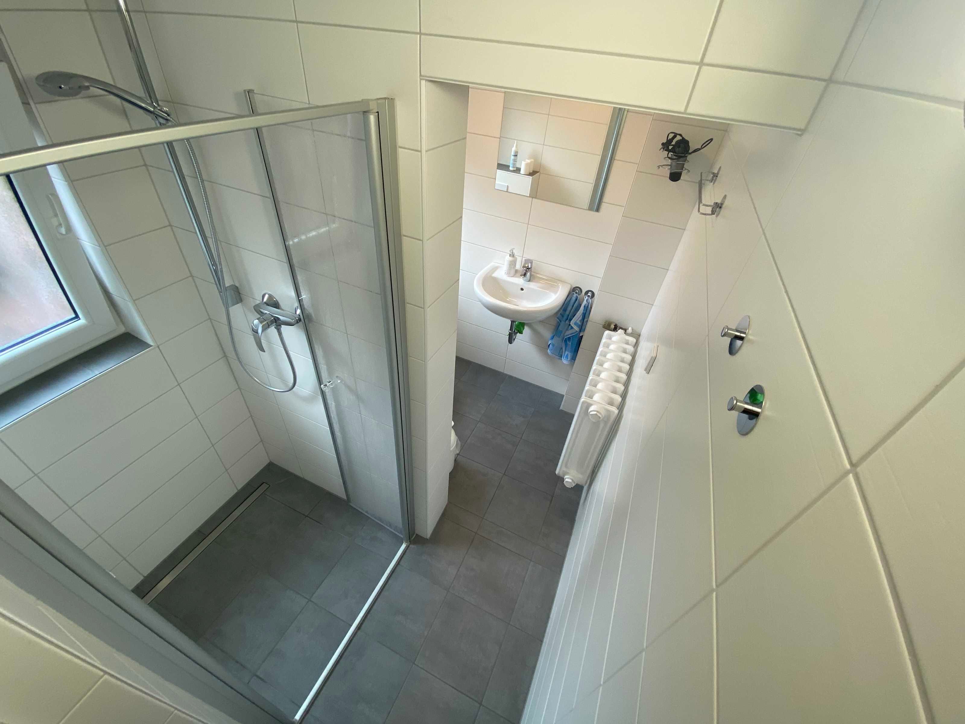 Shower, hair dryer, towels
