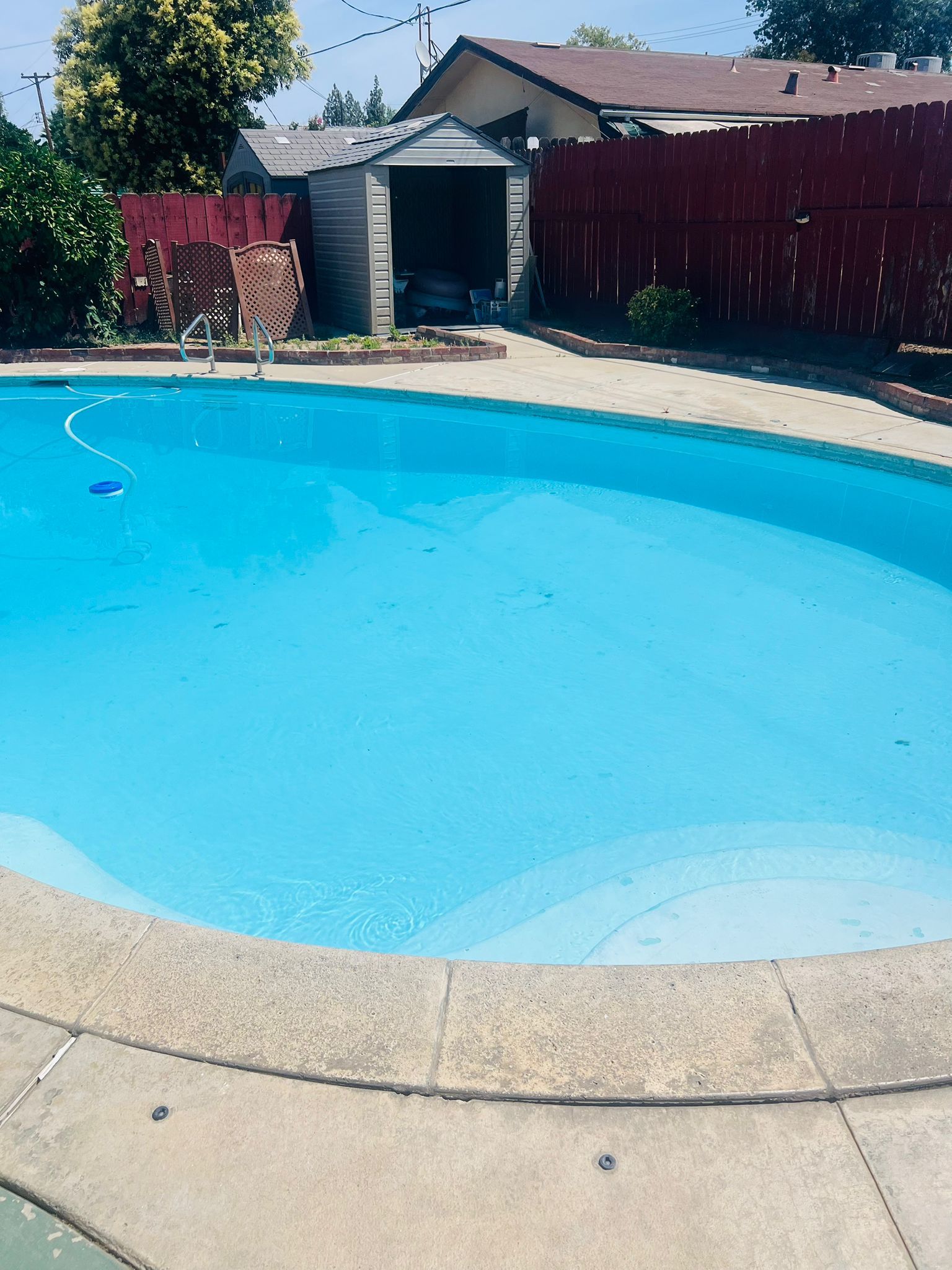 A swimming pool with a concrete deck, surrounded by a wooden fence and a shed.
