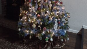 A decorated Christmas tree in a living room with a fireplace, framed artwork on the wall, and a television mounted above.