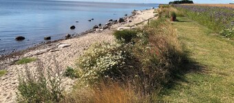 Ferienwohnung LUV - FIP Gollwitz Ferienwohnungen LEE u. LUV