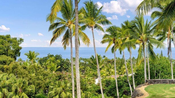 Eine tropische Landschaft mit Palmen und Blick aufs Meer.