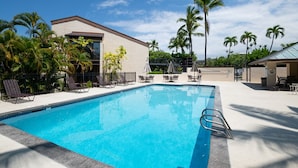 A swimming pool with lounge chairs and palm trees, surrounded by a building with a flat roof.