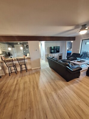 TV, fireplace, books