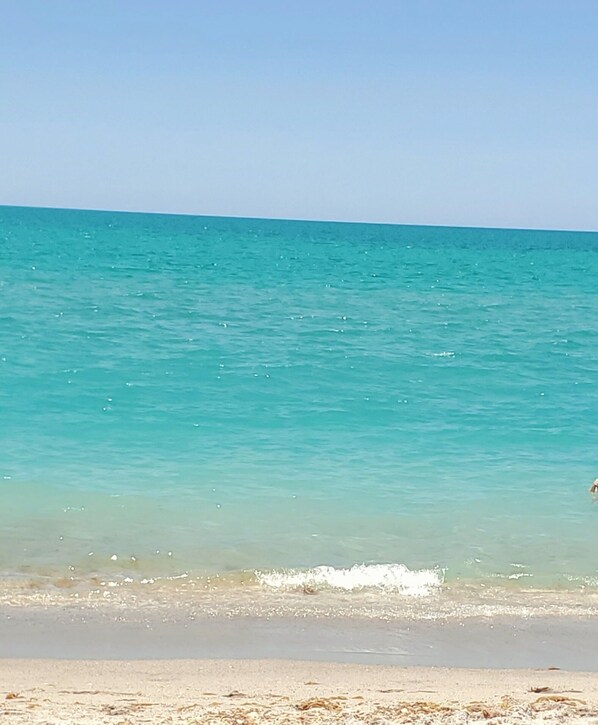 Playa en los alrededores