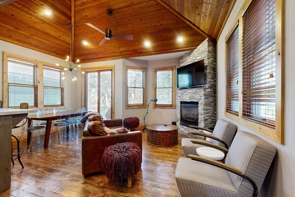 TV, fireplace, video games, DVD player