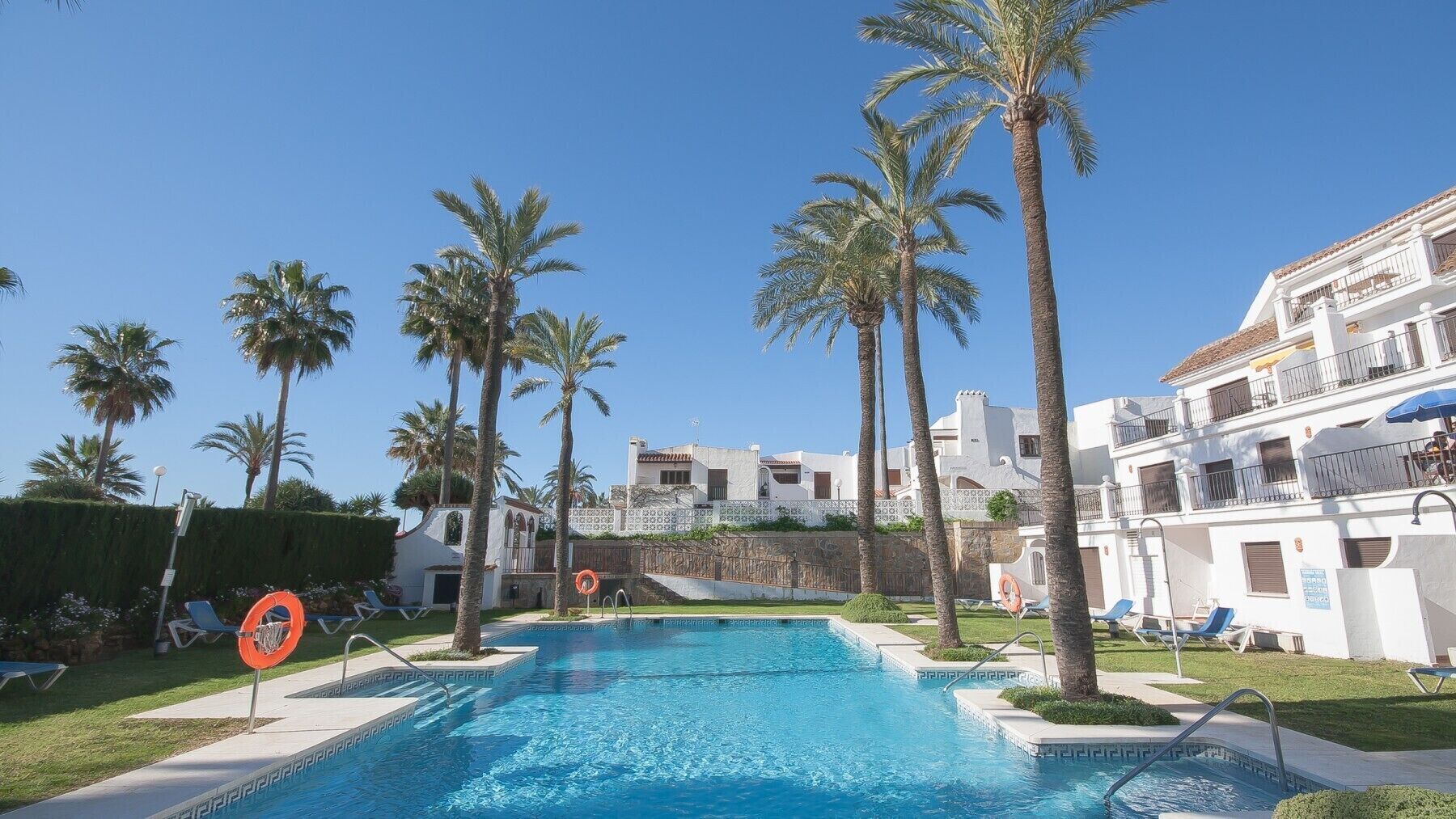 A swimming pool surrounded by palm trees and white buildings with balconies.