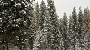 Escena nevada de un bosque con un puente de madera y la silueta de un hada.
