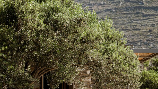 A stone building with a wooden porch, outdoor seating, and a view of hills. - A house in an olive grove with a unique view to the Aegean sea. (Tinos)