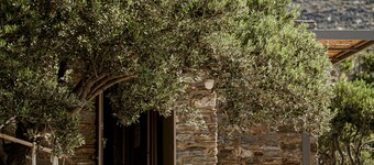A house in an olive grove with a unique view to the Aegean sea.
