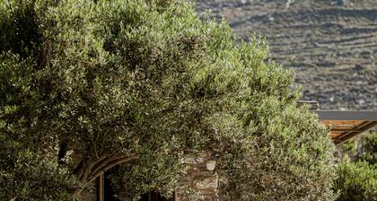 A house in an olive grove with a unique view to the Aegean sea.