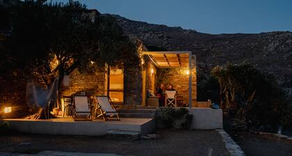 A house in an olive grove with a unique view to the Aegean sea.