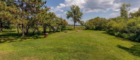 A well-maintained grassy area with trees and a clear sky.