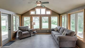 TV connectée, cheminée, lecteur de DVD