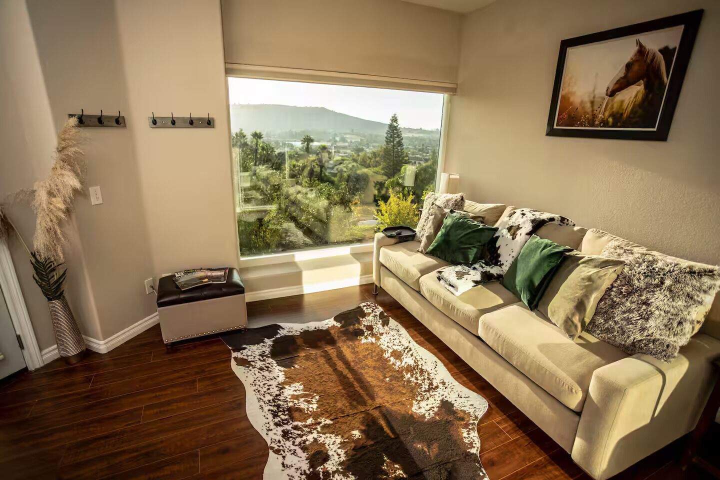 Smart TV, books, music library, stereo