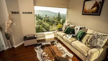 Smart TV, books, music library, stereo