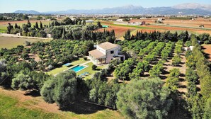 A modern villa with a swimming pool, surrounded by olive groves and vineyards, with mountains in the background.