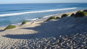 A beach with clear skies, gentle waves, and scattered vegetation.
