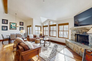 TV, fireplace, books