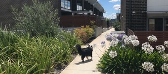 Pet-Friendly Central Stay | 2BR/2BA + Fenced Yard & Covered Secure Parking!