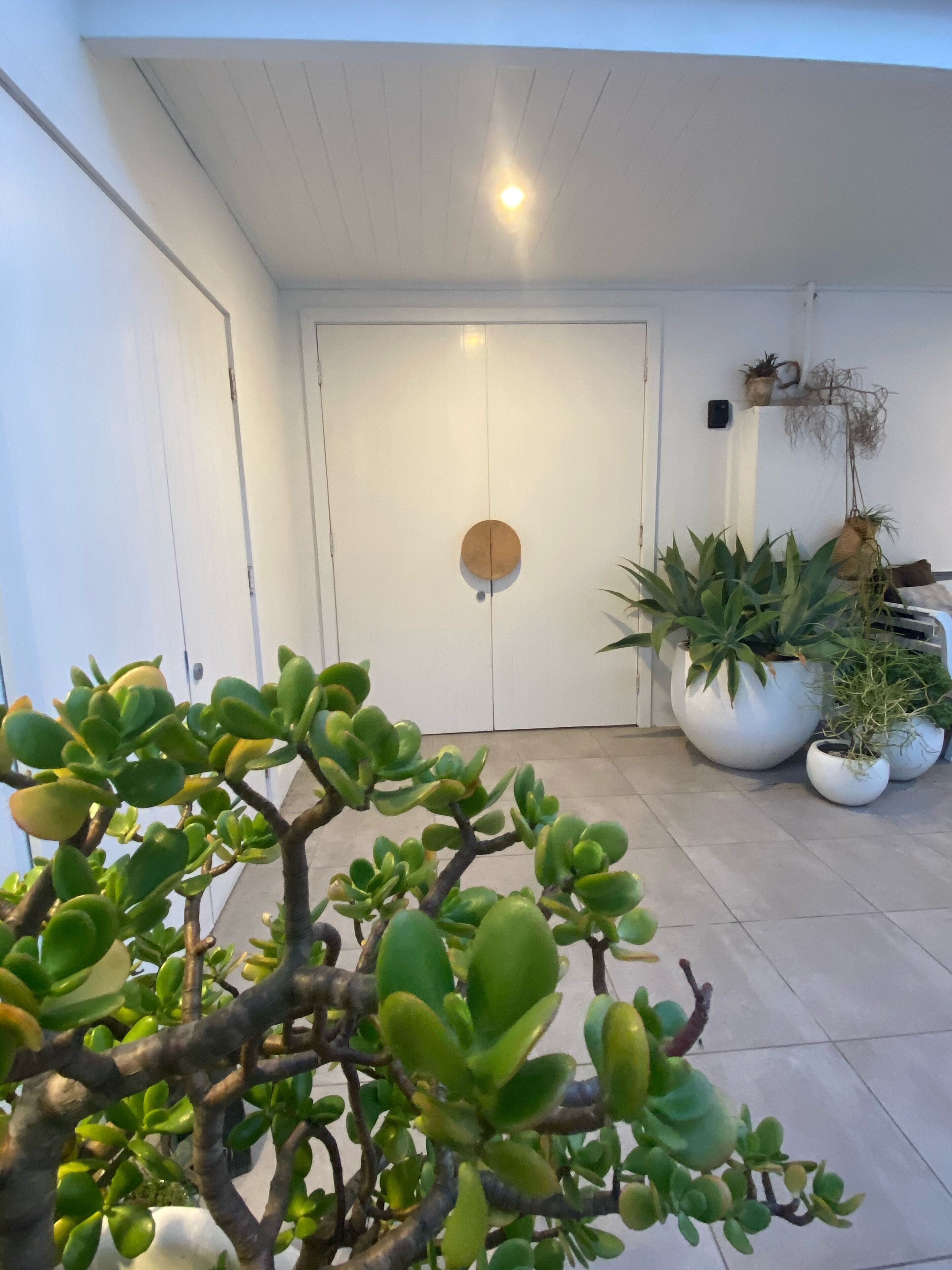 PANORAMIC VIEWS COLLAROY BEACH ESCAPE — image 20