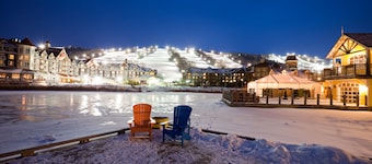 Dog-friendly skiier's condo with high-speed WiFi, gas fireplace, & central AC