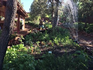 المنطقة المحيطة بالمنشأة