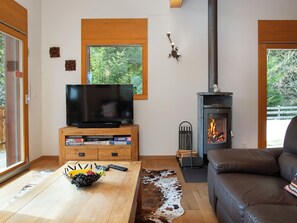 Télévision, cheminée, lecteur de DVD