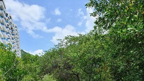 A wooden pedestrian bridge with metal railings, surrounded by lush greenery and trees. - Beachfront Family Escape | 3BR Samaria Club! (Santa Marta)