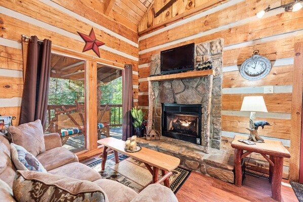 Smart TV, fireplace, DVD player, video library