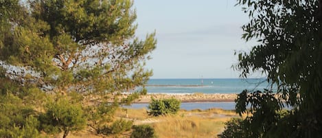 Plage, chaises longues