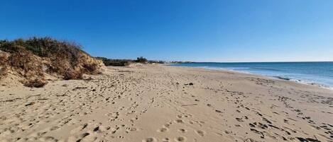On the beach, sun loungers