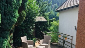 A patio area with wicker furniture, potted plants, and a stone floor. - Apartment no.2 climatic health resort, pearl of the Neckar valley (Hirschhorn am Neckar)