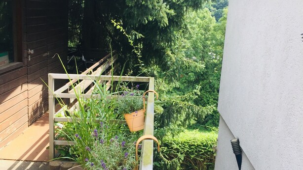 A balcony with a wooden railing, potted plants, and a view of dense greenery. - Apartment no.2 climatic health resort, pearl of the Neckar valley (Hirschhorn am Neckar)