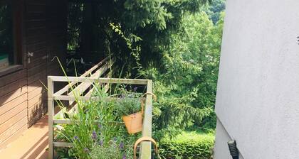 Apartment Nr.2 Luftkurort, Perle des Neckartals