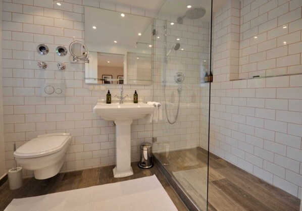Shower, hair dryer, towels