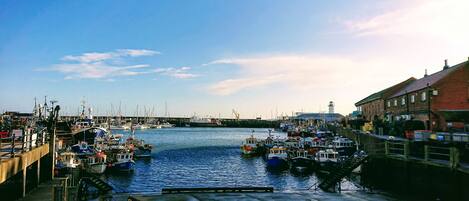 Marina