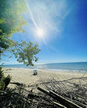 A beach with a clear sky, a bright sun, and a few beach chairs under a tree. - Cozy lakefront condo (Coloma)