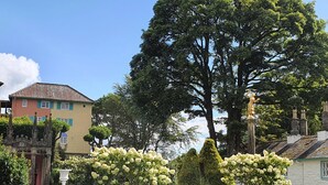 Ein Innenhof mit Brunnen, Statue und einem großen Baum.