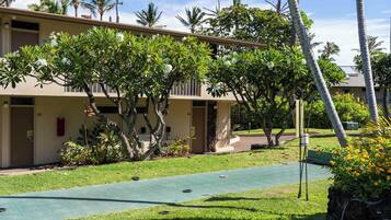 A hotel with a green lawn, palm trees, and a shuffleboard court.