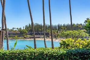 On the beach - Breathtaking Oceanfront Studio Napili Shores A106 (Lahaina)