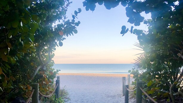 A sandy beach path leading to the ocean, surrounded by greenery and wooden posts. - Bohemian Sunrise  (Englewood)